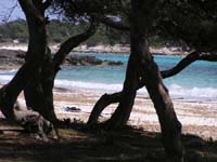 Menorca_050515_208