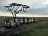 Serengeti-Tansania-281