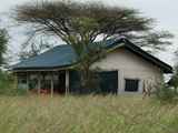Serengeti-Tansania-337