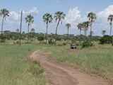 Tarangire-Nationalpark-Tansania-089