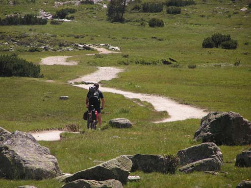 Alpen: Mountainbike über grüne Almen