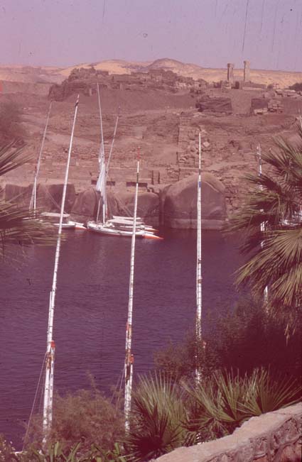 Aegypten-92-031-Assuan