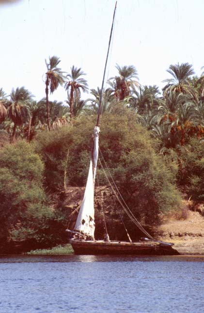 Aegypten-92-065-Assuan