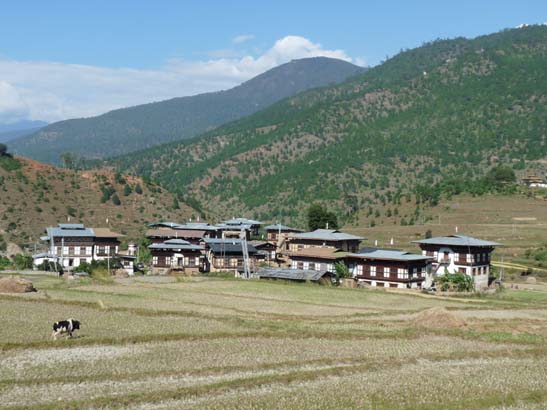 Bhutan-8377