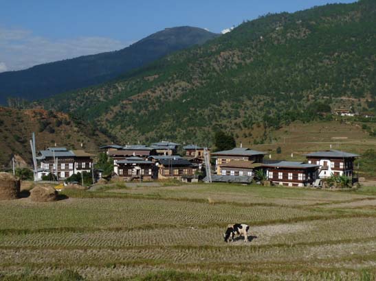 Bhutan-8468