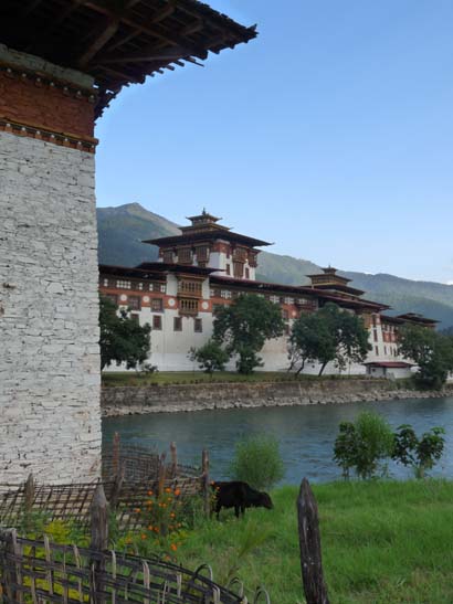 Bhutan-8533
