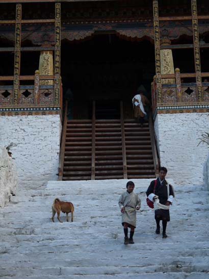 Bhutan-8548