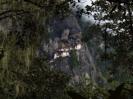 Bhutan-8948