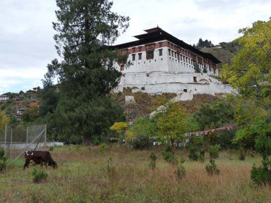 Bhutan-8979
