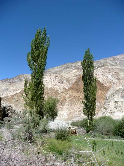 Ladakh339