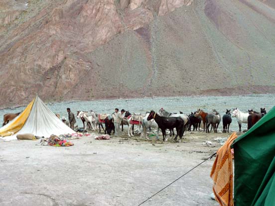 Ladakh441