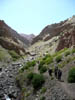 Ladakh226