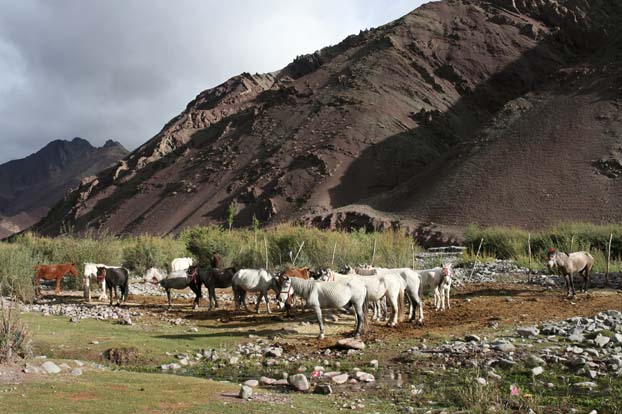Ladakh_0473_DxO