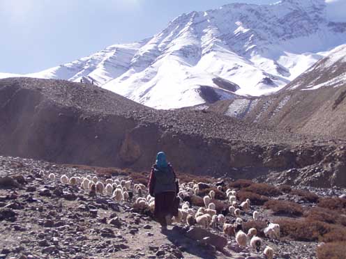 Ladakh  2-2004 264