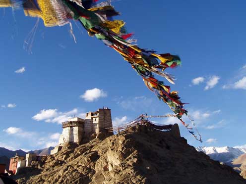 Ladakh  1-2004 075