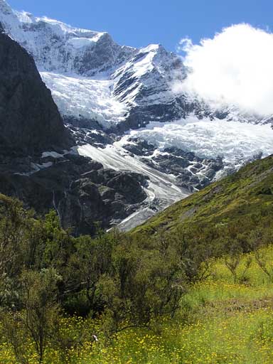 Gletscher in Neueeland