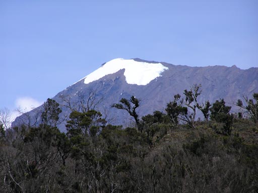 051108 Tanzania Kilimanjaro 175