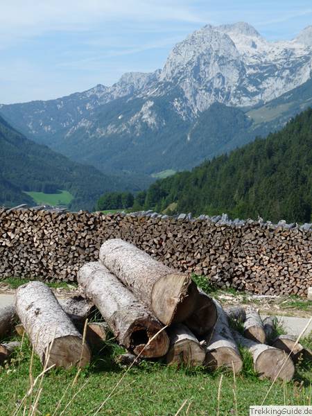 Holzwirtschaft im Ramsauer Tal, dahinter Reiteralm
