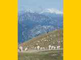 07-Malcesine-Sentiero-Ventrar-Monte-Baldo-0126