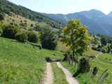 07-Malcesine-Sentiero-Ventrar-Monte-Baldo-0226