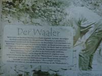1506-Marlinger-Waalweg