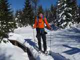 7-Bayerischer-Wald-Schneeschuhtour-ueber-den-Lusen-890