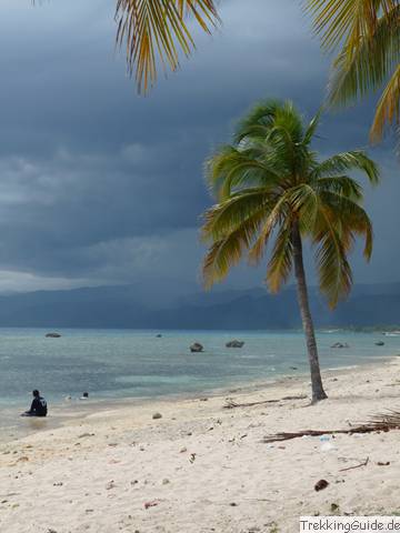 Palmenstrand Karibik
