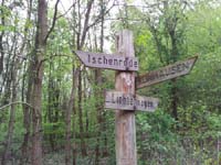 Ludolfshausen-und-Umgebung-036