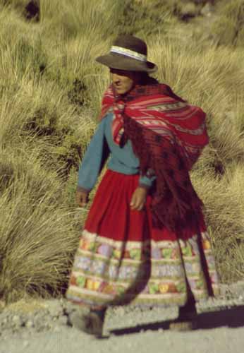 Indigena, Peru