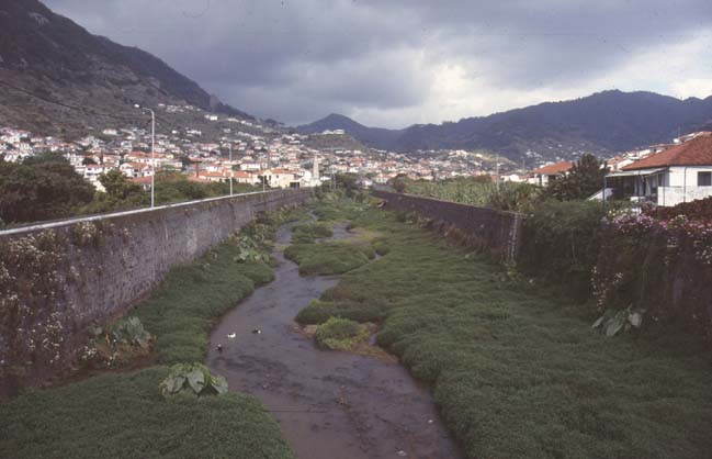 Madeira-004