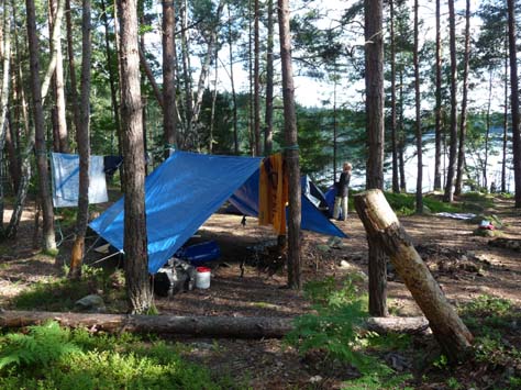 Camp im Kiefernwald