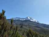 Kilimanjaro-Tansania-13-128