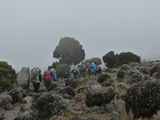 Kilimanjaro-Tansania-13-226