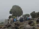 Kilimanjaro-Tansania-13-227