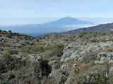 Kilimanjaro-Tansania-13-259