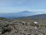 Kilimanjaro-Tansania-13-269
