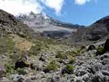 Kilimanjaro-Tansania-13-475