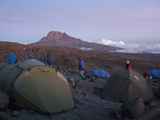 Kilimanjaro-Tansania-13-519