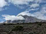 Kilimanjaro-Tansania-13-620