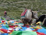 10286_Kailash-Umrundung-Tibet