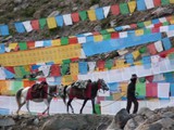 10412a_Kailash-Umrundung-Tibet