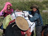 10666_Kailash-Umrundung-Tibet