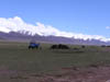 Tibet_2006_P5310493