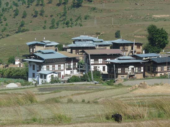 Bhutan-8370