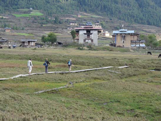 Bhutan-8748