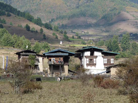 Bhutan-8757