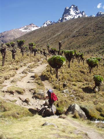 Mount Kenia: Aufstieg über Sirimon Route