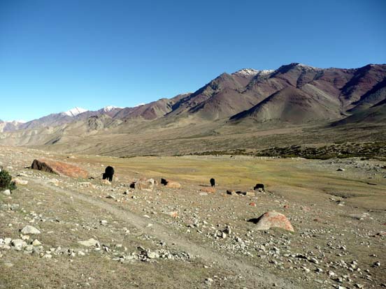 Ladakh261