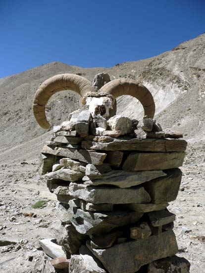 Ladakh359
