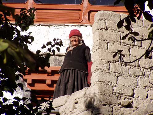 Ladakh  1-2004 361